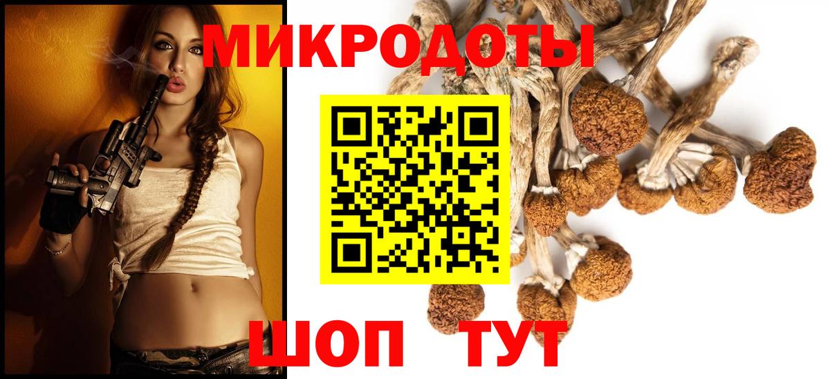 Псилоцибиновые грибы Psilocybine cubensis  Вход с VPN  Галлюциногенные грибы прущие грибы  Воткинск 