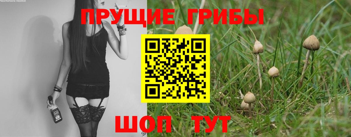Псилоцибиновые грибы Psilocybine cubensis Воткинск